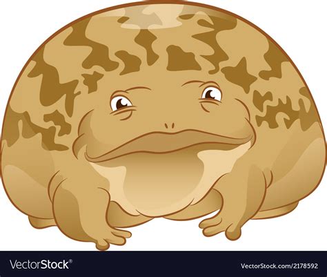 Toad Royalty Free Vector Image Vectorstock