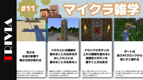 上級者でも意外と知らないマイクラ雑学 11【雑学】 Minecraft Summary マイクラ動画