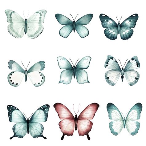 Premium Vector | Watercolor butterfly illustration