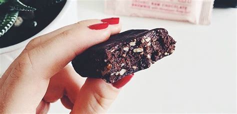 Brownie Panel Fat Gay Vegan