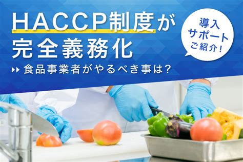 Haccp制度化が完全義務化！食品事業者がやるべき事は？導入サポートもご紹介 ショクビズ！