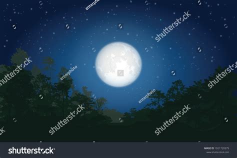 Night Forest Silhouette Full Moon Vector Stock Vector (Royalty Free ...