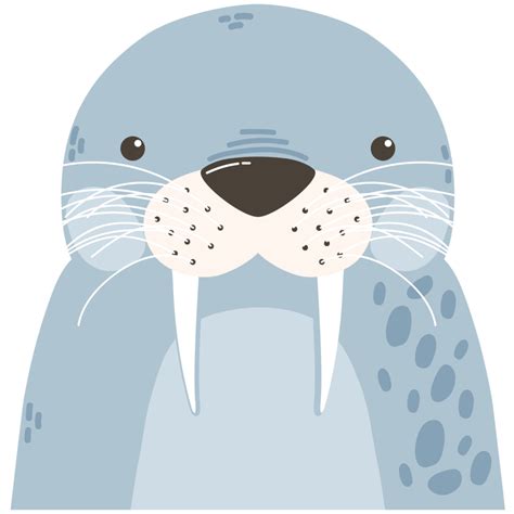 cute seal animal 24098663 PNG