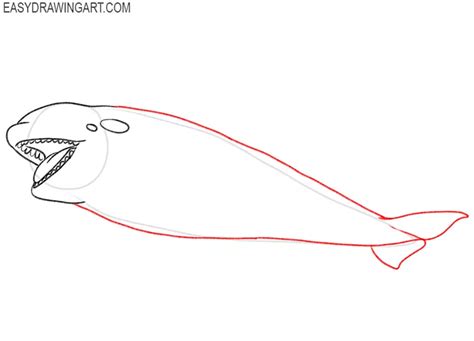 How to Draw an Orca - Easy Drawing Art