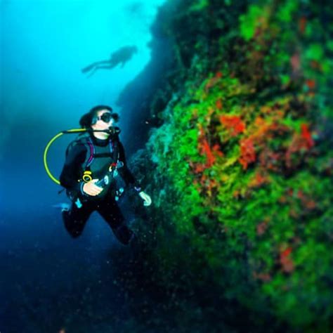 What it's Really Like to Dive the Great Blue Hole – Belize Adventure