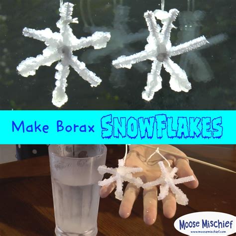 Borax Crystal Snowflakes Winter Craft Borax Snowflakes Borax