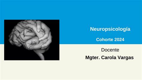 Neuropsicología U Cohorte 2024 SFE LPM FCS UCSFvirtual