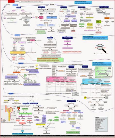 Medication Concept Map Template