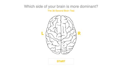 Are You Right Brained Or Left Brained Psychology Brain Right Brain