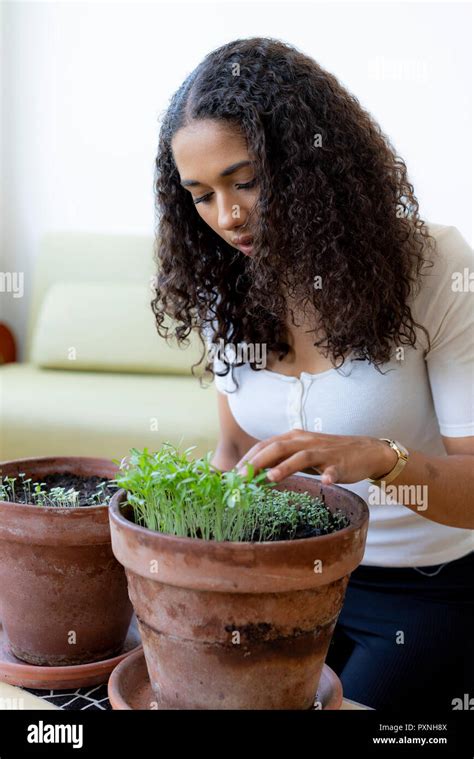 Woman Looking Saplings Hi Res Stock Photography And Images Alamy