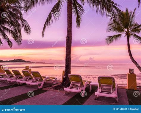 Beautiful Tropical Beach Sea And Ocean With Coconut Palm Tree At Stock