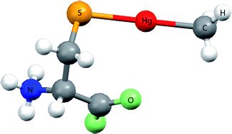 Poison Knows No Borders – Methylmercury and its Damaging Effects