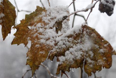 Temperaturni Ok Pred Nama U Nekim Dijelovima Bih E Pasti Snijeg