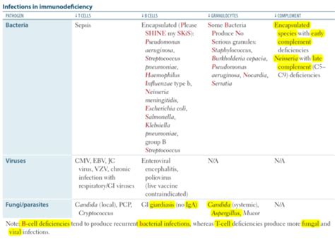 Usmle Microbiology Flashcards Quizlet