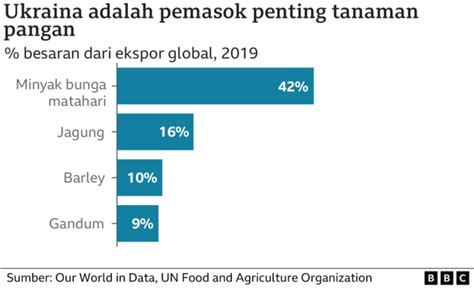 Rusia Dituduh Mencuri Gandum Dari Ukraina Dan Menjualnya Ke Luar Negeri