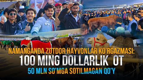 Ming Dollarlik Ot Mln So Mga Sotilmagan Qo Y Namangandagi