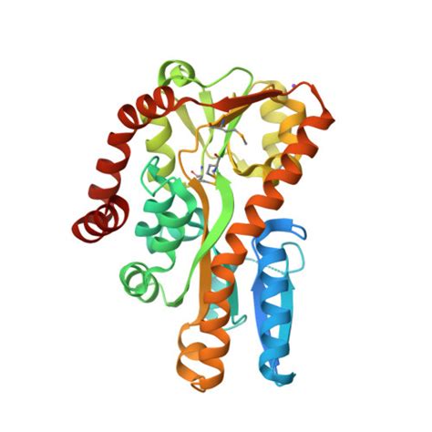 Rcsb Pdb Pfi Crystal Structure Of A Trap Periplasmic Solute Binding