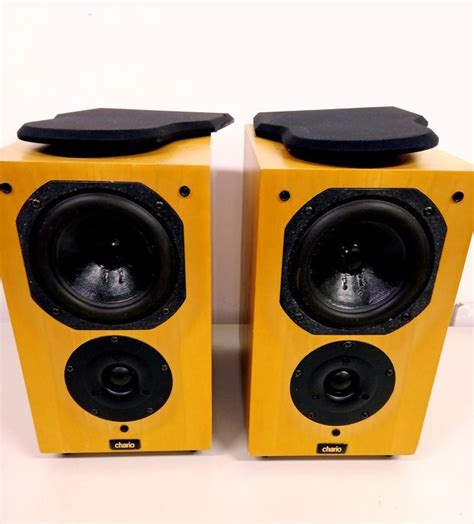 Chario - Syntar 100 Loudspeakers - Speaker set - Catawiki