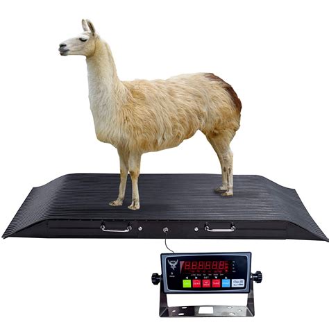 Pec Scales Medium Livestock Scalefarm Animal Weighing Equipment Capa