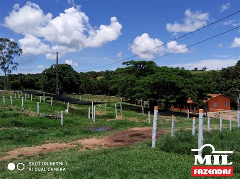 Mil Fazendas Fazenda de 16 alqueires 75 hectares em Vianópolis GO