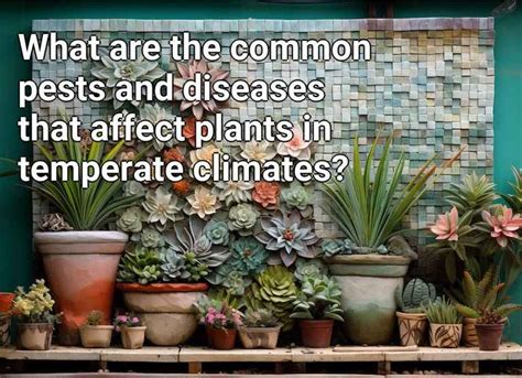 What Are The Common Pests And Diseases That Affect Plants In Temperate