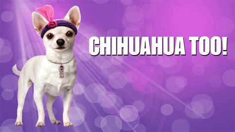 Watch Chihuahua Too! (2013) Full Movie Free Online - Plex