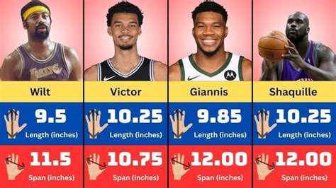 Big Hands In Nba History