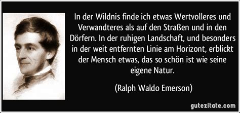 In Der Wildnis Finde Ich Etwas Wertvolleres Und Verwandteres Als