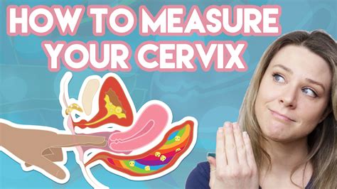 How To Measure Your Cervix A Very PACII How To Cervix Menstrual Cup