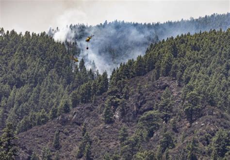 El perímetro del incendio en Tenerife consolidado pero humeante y con