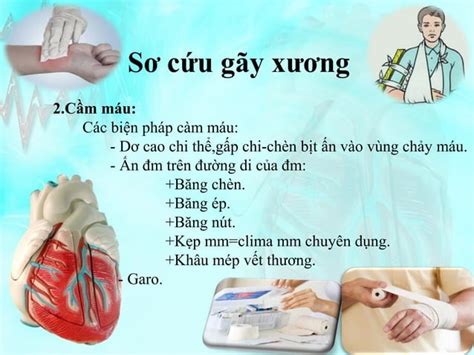 B Dc Gay Xuong B Nh Ngo I Khoa Ppt