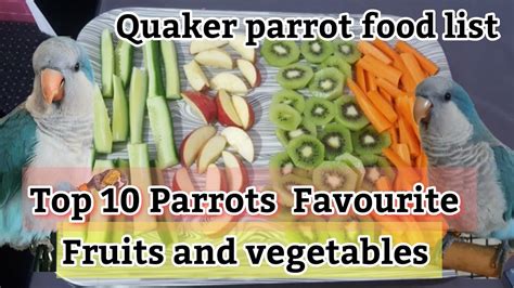 Top 10 Healthiest Quaker Parrot Food List Parrot Eating Fruits And Vegetables 🍎🌽 Youtube