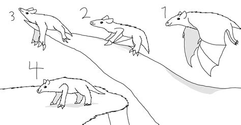 Evolution Of Flightless Bats By Terrifictyler20 On Deviantart