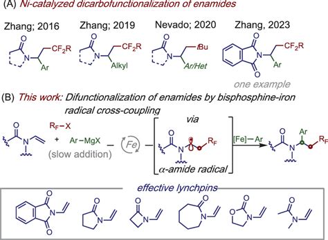 Regioselective Fluoroalkylarylation Of Enamides Enabled By An Iron