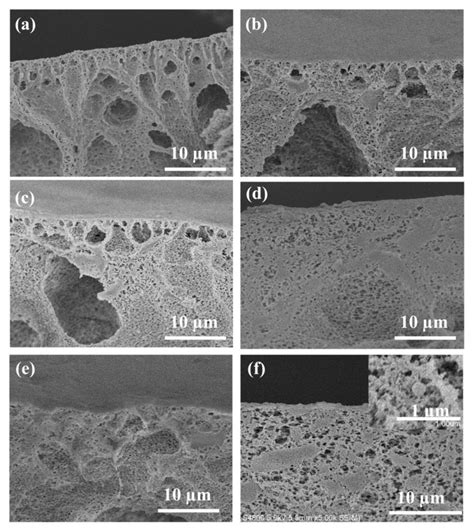 Cross Section Sem Images Of A Pvdf Membrane B Zif 67pvdf