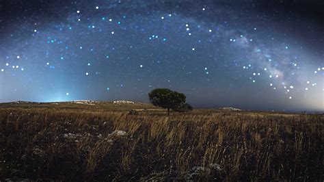 Fondos De Pantalla Rboles Paisaje Noche Cielo Estrellas