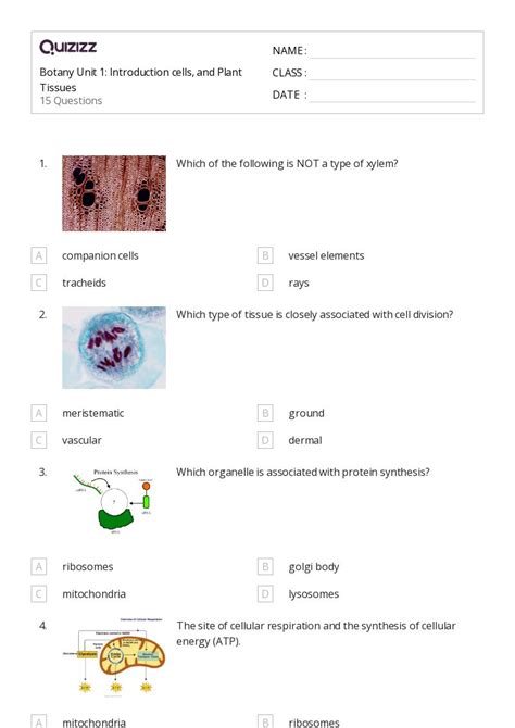 Tissues Worksheets For Th Grade On Quizizz Free Printable