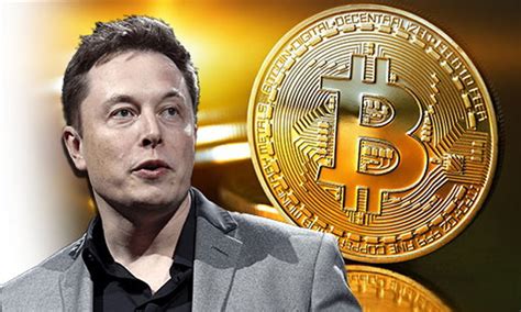 Elon Musk Se Baja De La Burra De Las Criptomonedas Tesla Ya No