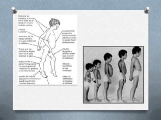 Teoria Cromosomica De La Herencia Noveno PPT