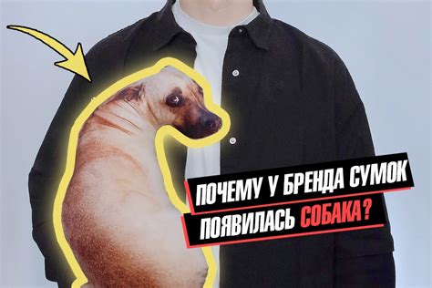 НЕСТАНДАРТИКА | ВКонтакте