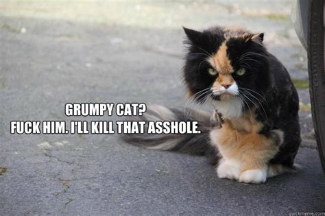 Grumpy Cat Fuck Him I Ll Kill That Asshole Angry Cat Quickmeme
