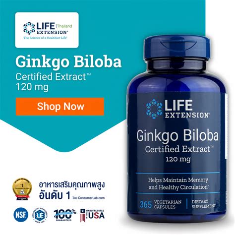 Le Ginkgo Biloba Certified Extract 120 Mg 365 Vegetarian Capsules Shopee Thailand