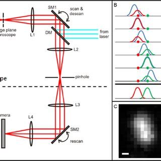 FWHM of the PSF as a function of pinhole radius for the confocal and ...