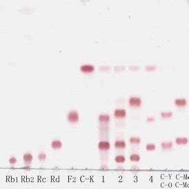 Biotransformation pathway of ginsenosides Rb1, Rb2, Rc, and Rd by ... 