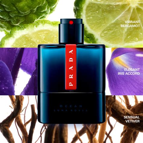 Actualizar 93 Imagen Prada Ocean Cologne Review Abzlocal Mx