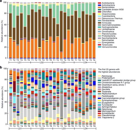 Bacterial community structure of the 24 samples at the phylum and genus ... 
