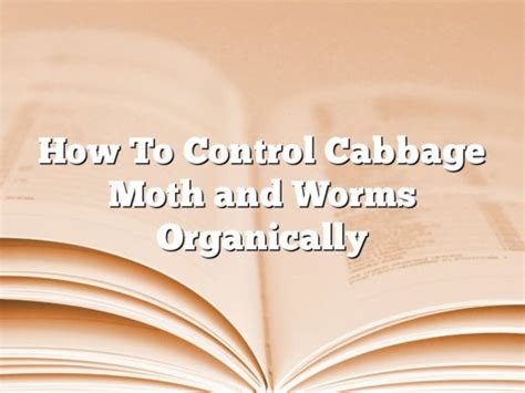 How To Control Cabbage Moth and Worms Organically - The Homestead Survival