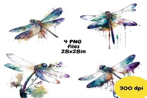 Dragonfly Watercolor Illustration Set Graphic By FeeFiFo Studio