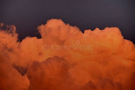 Dramatic Cloudscape With Orange And Red Clouds Foreground Tree Stock