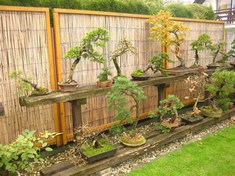 Stunning Bonsai Garden Ideas Best For Outdoor Decor 10 Indoor Bonsai Tree Bonsai Garden